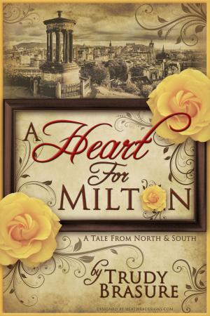 Cover of the book A Heart for Milton: A Tale from North and South by Sabrina Paravicini