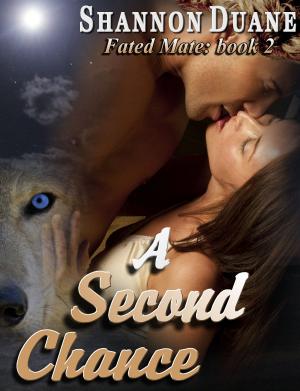 Cover of the book A Second Chance by A.A. Garrison