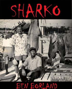 Cover of the book Sharko by Jill Gregory