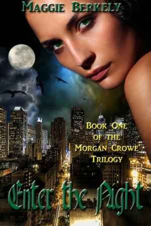 Cover of the book Enter the Night by Monette Michaels