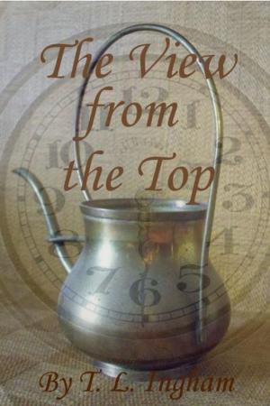 bigCover of the book The View from the Top by 