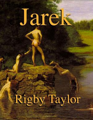 bigCover of the book Jarek by 
