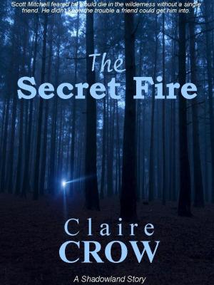 Cover of the book The Secret Fire by Leslie Claire Walker