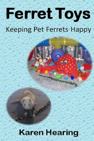 Cover of the book Ferret Toys: Keeping Pet Ferrets Happy by Darryl Craig