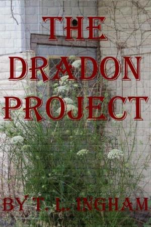 Cover of the book The Dradon Project by Kristoff Chimes