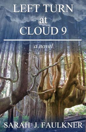 Cover of the book Left Turn at Cloud 9 by Deb Stover