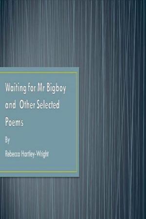 Cover of the book Waiting for Mr Bigboy and Other Selected Poems by William Driscoll