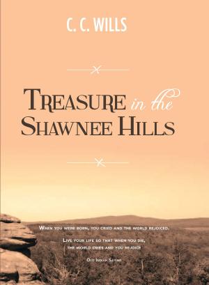 bigCover of the book Treasure in the Shawnee Hills by 