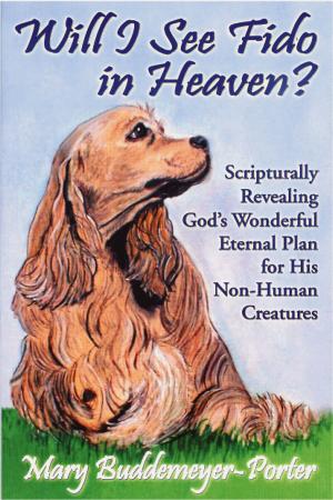 Cover of the book Will I See Fido in Heaven? by Jodi Manfred