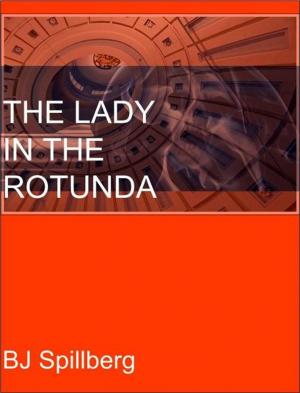 Book cover of The Lady in the Rotunda