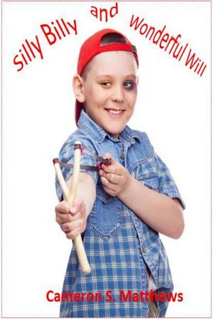 Book cover of Silly Billy and Wonderful Will