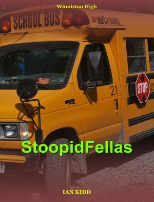 Cover of the book StoopidFellas (Winniston High) by Willoughby Plug