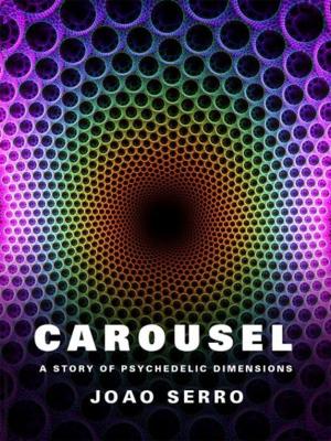 Cover of the book Carousel by Teri Riendeau Crane