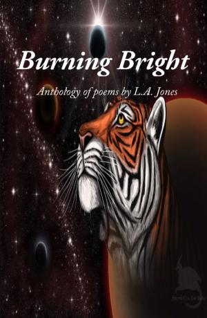 Cover of the book Burning Bright by Lady Tracilyn George