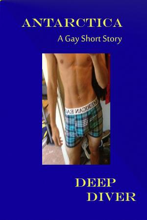 Cover of the book Antarctica A Gay Short Story by Jess Thomas