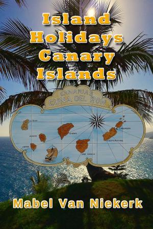 Book cover of Island Holidays: Canary Islands