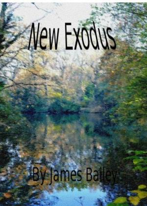 Book cover of New Exodus