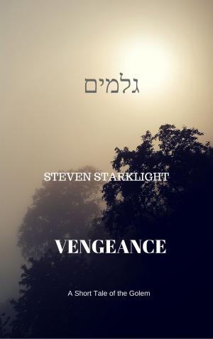 Cover of the book Vengeance by Kieran Shields