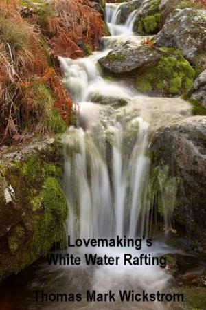 Book cover of Lovemaking's White Water Rafting