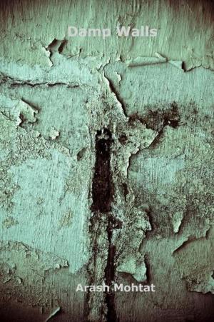 Cover of the book Damp Walls by Fabio Rinaldi