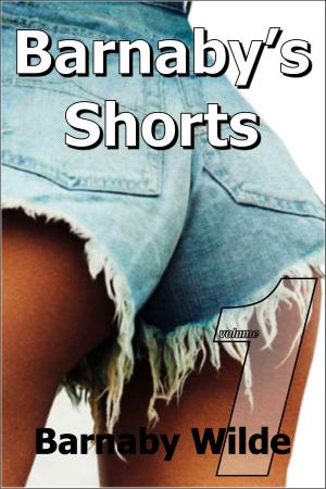 Cover of the book Barnaby's Shorts (Volume One) by Jon Sindell