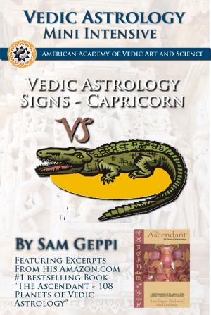 Book cover of Vedic Astrology Sign Intensive: Capricorn - Makara