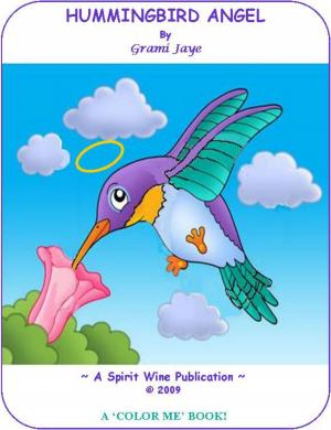 Book cover of Hummingbird Angel
