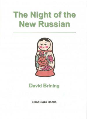 Cover of the book Night of the New Russian by Barry Klemm
