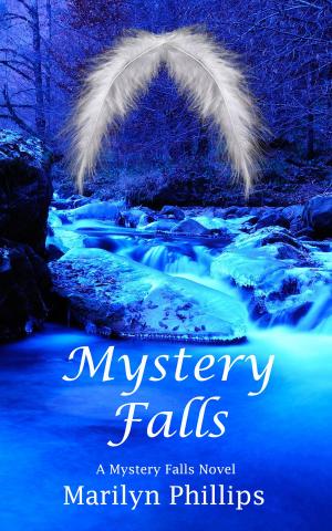 Cover of the book Mystery Falls by Jack Cee