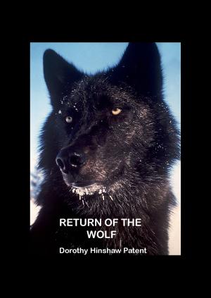 Cover of Return of the Wolf