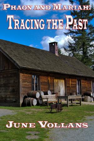 Cover of the book Phaon and Mariah: Tracing the Past by Ted Jonsson