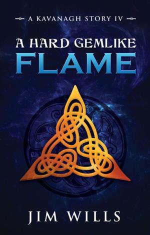 bigCover of the book A Hard Gemlike Flame: A Kavanagh Story IV by 