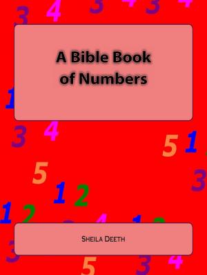 Cover of the book A Bible Book of Numbers by Jenny Holmlund