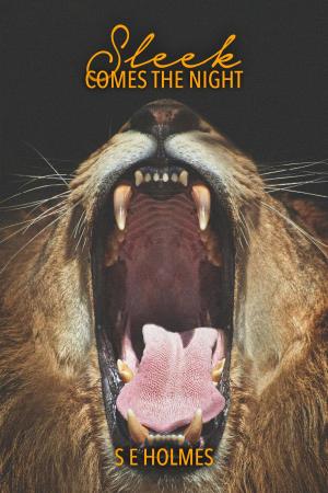 Book cover of Sleek Comes the Night