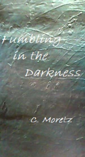 bigCover of the book Fumbling in the Darkness by 