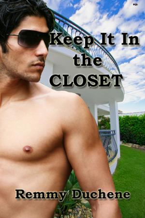 Book cover of Keep It In the Closet
