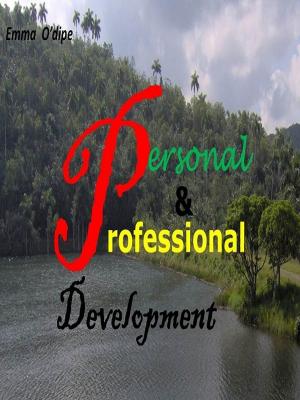 Cover of the book Developing Great Personal & Professional Lifestyle by David Wright