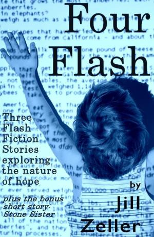 Cover of the book The Flash Collection by Jill Morrison