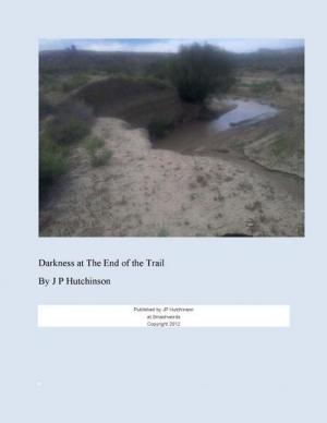 Cover of the book Darkness At The End of The Trail. by William Skeen