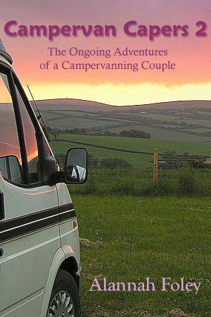 Book cover of Campervan Capers 2