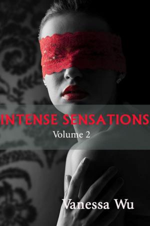 Book cover of Intense Sensations Volume 2