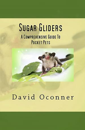 Cover of the book Sugar Gliders by Kirk Mahoney, Ph.D.
