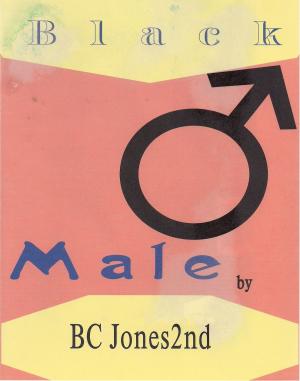 Book cover of Black Male