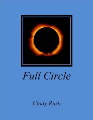 Cover of the book Full Circle by S.M. Kirkland