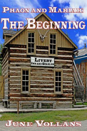 Cover of the book Phaon and Mariah: The Beginning by Ruthanne Reid