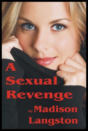 Cover of the book A Sexual Revenge by Ashley Suzanne