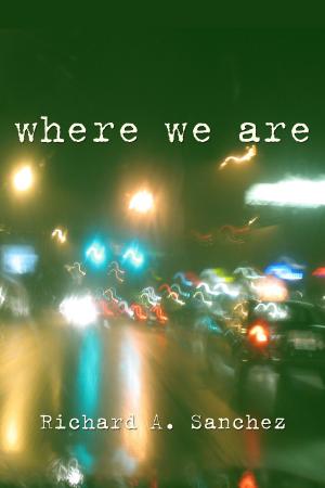 Cover of the book Where We Are: A Short Story by C.A. Huggins