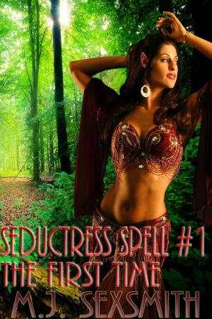 bigCover of the book Seductress’ Spell #1: The First Time by 