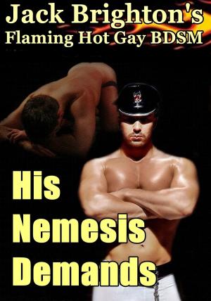 Book cover of His Nemesis Demands
