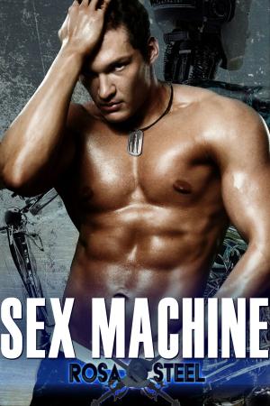 bigCover of the book Sex Machine by 